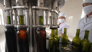 নিজস্ব মদ মেশিন / মদ Bottling সরঞ্জাম / ওয়াইন বোতল দিয়ে গর্ত ইত্যাদি বোজানো